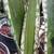 Wholesale plants 10 thumbnail