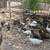 Peacocks/chick's 1 thumbnail