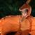 Pottery Barn Light-Up Pterodactyl Halloween Costume 4-6Y 3 thumbnail