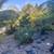 Studio in a Special Garden Complex 15 thumbnail