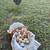 Free range organic eggs 4 thumbnail