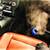 Precision Mobile Auto Detailing 3 thumbnail