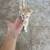 Kitten 2 thumbnail