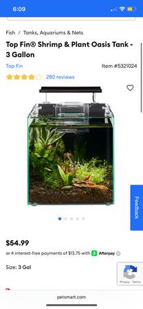 3 Gallon Rimless Fish Tank with Betta (32179)63861782278273120