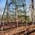 Down-Owner Financing-25% Undivided Interest in 56 acres 1 thumbnail