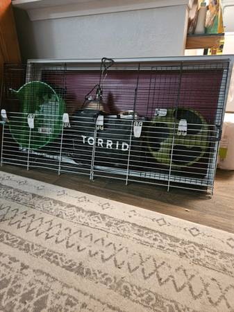 Small Animal Setup 1