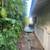 Lanikai Cottage W/D, Parking, Utilitis and Internet Included 2 thumbnail