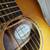 Breedlove Premier Concertina Copper E 18 thumbnail
