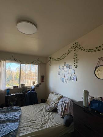 1 private room in a sharing apartment 1