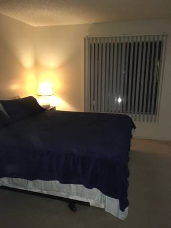 Great Room and a Great Roommate 1