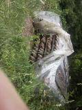 3 rail round fence 1
