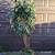 Artificial tree 3 thumbnail
