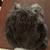 Brown bear hat 2 thumbnail