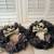 Fall and Halloween Wreaths $10 each 1 thumbnail