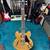 Epiphone ES-335 IG Electric Guitar 1 thumbnail