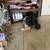 WHOLE HOUSE clean out 1 thumbnail