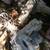 Chevy transfer cases & trans 2 thumbnail