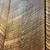 1×10 Rough Circle-Sawn Pine ** Only $0.99 PER FOOT!! ** 6 thumbnail