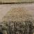 Grass 3x4 Bales 5 thumbnail
