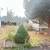Yard service, Pruning bushes, pressure washing and much more!!! 9 thumbnail