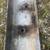 89 ford van front bumper with bolts 3 thumbnail