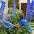 Landscape Technician 8 thumbnail