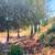 Triangular vacant land 20 thumbnail