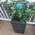 Complete Outdoor Patio & Garden Set - $1,495 OBO 8 thumbnail