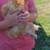 Chicken Laying hens 17 thumbnail