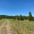 Raw land. 35 acres 2 thumbnail