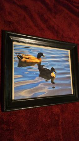8x10 photographs - $15 (Jacksonville)63471308049155120