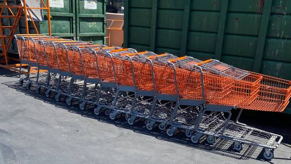 Shopping Carts 1
