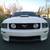 2008 Ford Mustang GT/CS 4 thumbnail
