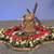 Miniature Dutch Windmill Garden 5 thumbnail