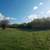Price Reduction! NO Covenants 13.5 Acres Hobby Farm/Horses/ Airbnb 5 thumbnail