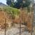 Moving IN/OUT Need Yard Clean Up ? Sprinklers, Drips repair 1 thumbnail