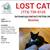 Missing cat 1 thumbnail