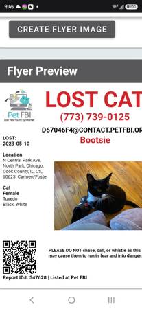 Missing cat 1
