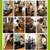 House Cleaning Services $67/Wkly Cleaning 1Br 1Ba, Move-in/Move-Out Cl 13 thumbnail
