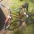 Tricycle antique/Rollfast d.p harris new york 3 thumbnail