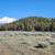 Lot 30 Silver Spur - 0.44 Acre Level Homesite, Mt Shasta View - Lake Shastina -  6 thumbnail