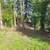 Fully Remodeled House 3br, 1ba Large Extended Back Yard 21 thumbnail