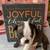 Boston Terrier pups 2 thumbnail