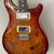 PRS Custom 24 SE (2019) with PRS hardshell case 1 thumbnail