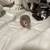 Hamster 2 thumbnail