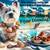 Yorkie teacup parti 2 thumbnail