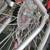 Vélo aluminium Raleigh Canada Portage cadre gros CERTIFIÉE 100% 23 thumbnail