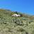Gold Hill Lode Patented Mining Claim- Canyon Peak near Stateline, Utah 3 thumbnail