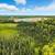 DOUBLE LOT OPPORTUNITY! (10936 & 10996 Airolo Drive) 5 thumbnail