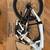 Schwinn Signature Bike brand new 2 thumbnail
